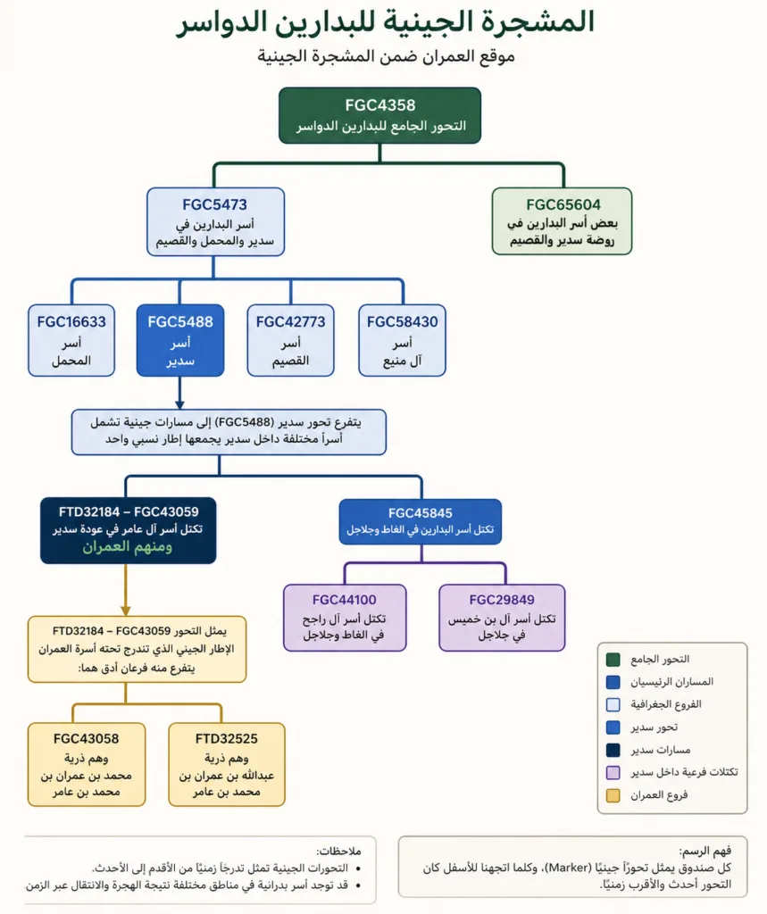موقع أسرة العمران في المشجرة الجينية للبدارين الدواسر