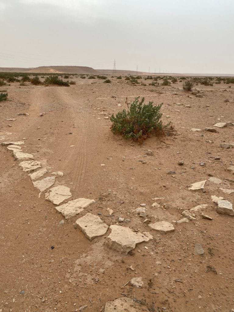 مسافر المدينة المنسية