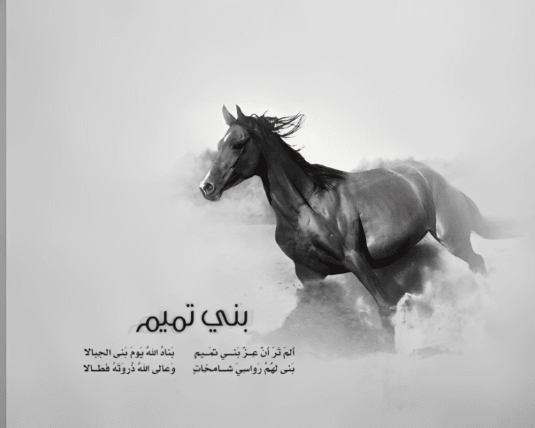 نحن إلى طمس التاريخ أقرب قبيلة بني تميم