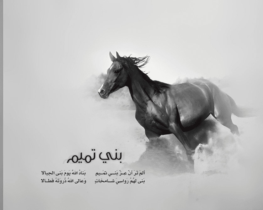 نحن إلى طمس التاريخ أقرب قبيلة بني تميم
