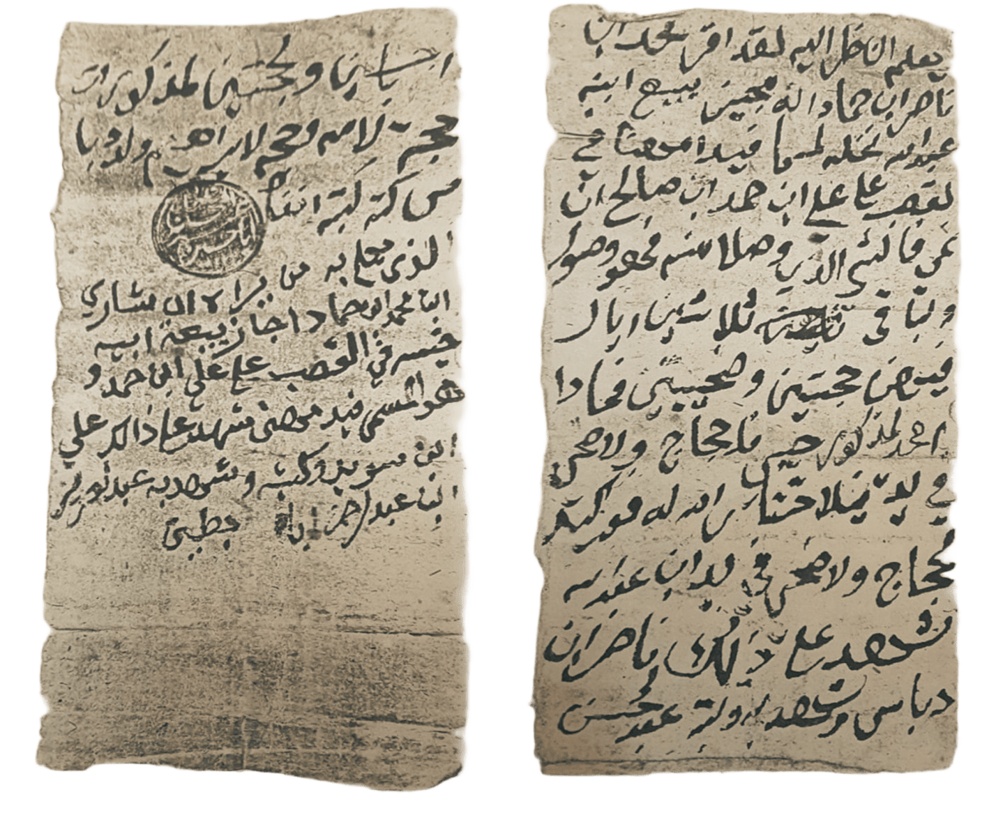 إجازة بيع «فيد مهنا» بالقصب: دراسة تحليلية لوثيقة لأسرة الحماد في القرن الثالث عشر الهجري