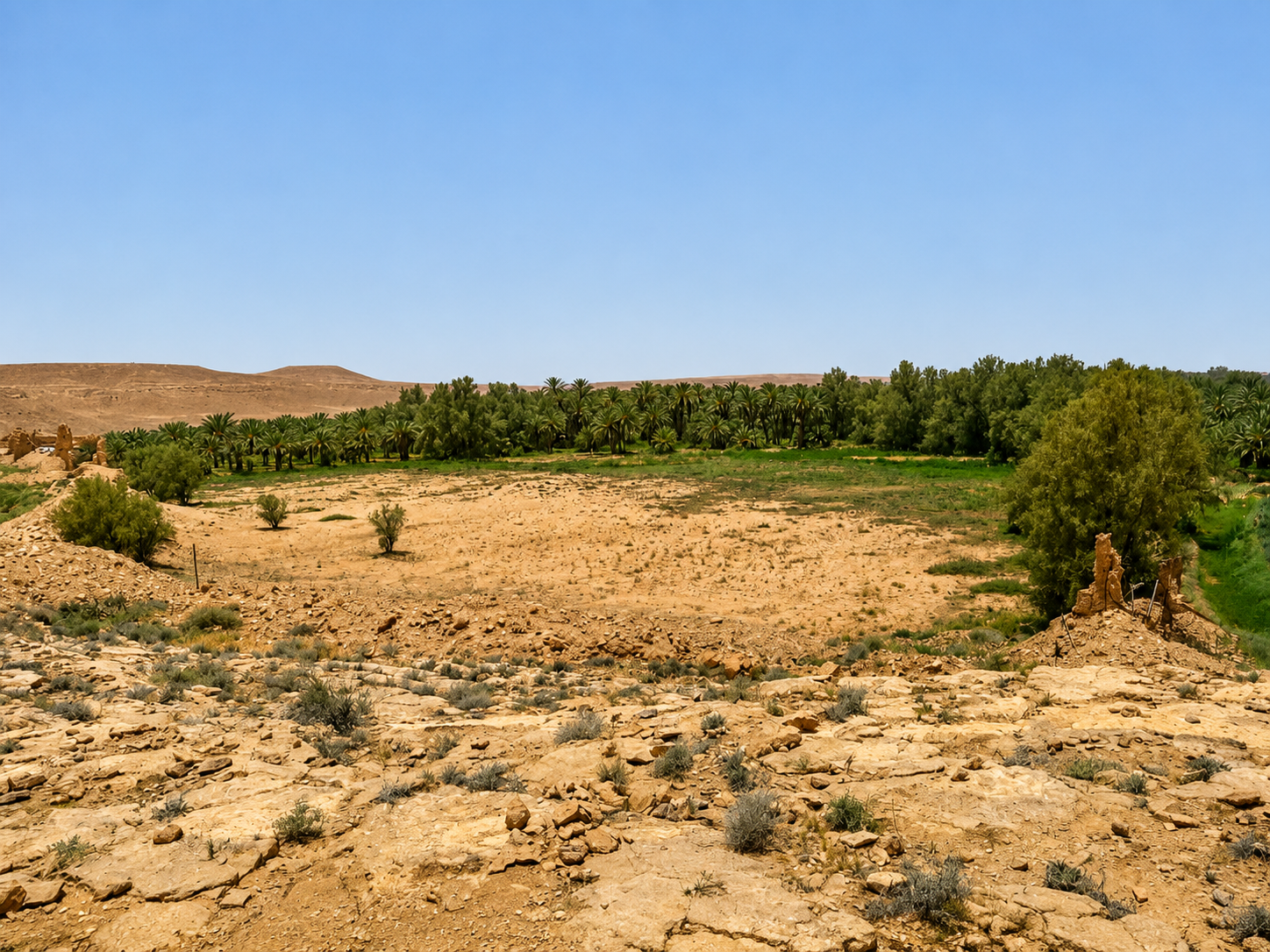 قصر العيسى وقليب المليحة