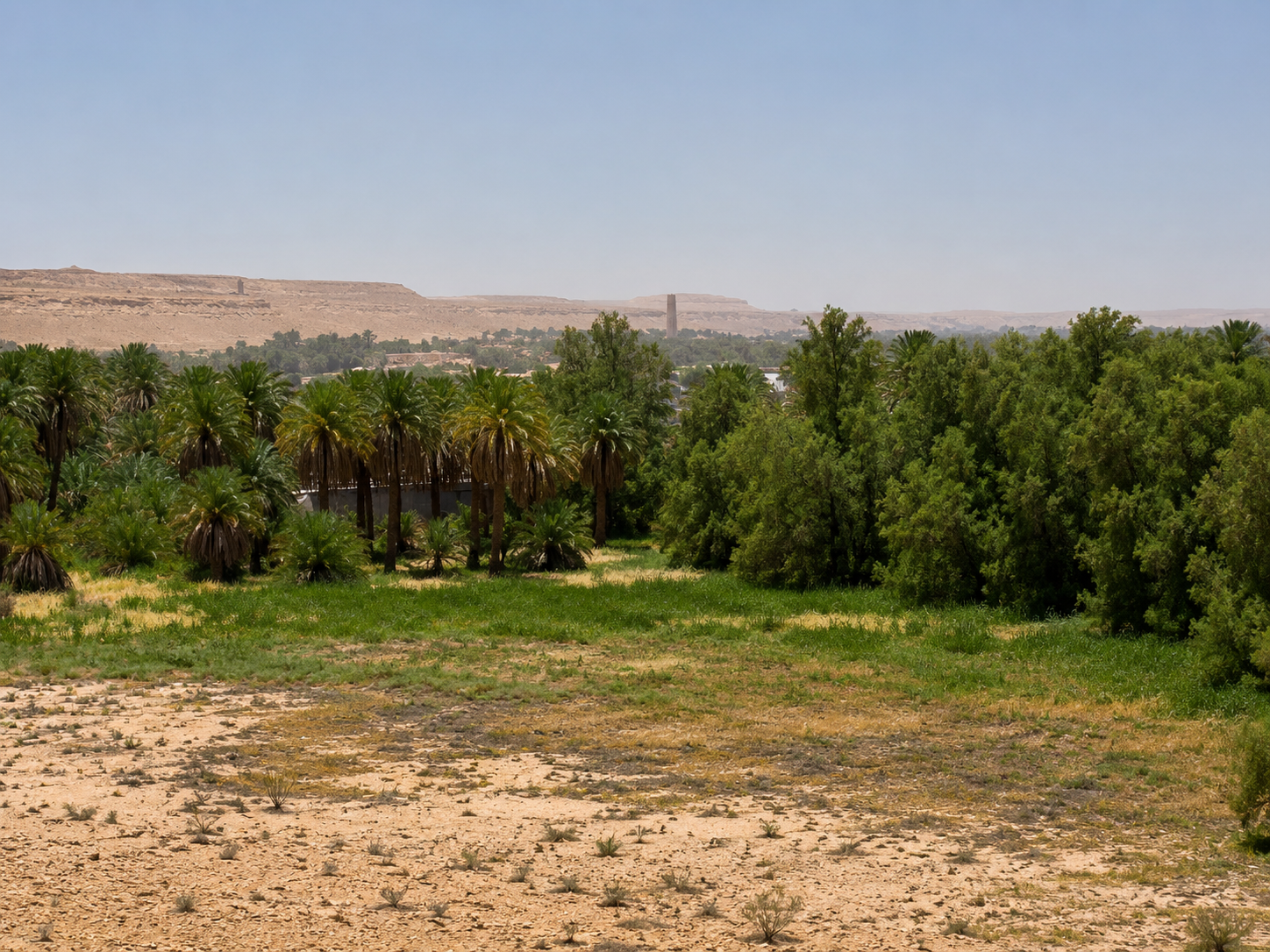 قصر العيسى وقليب المليحة