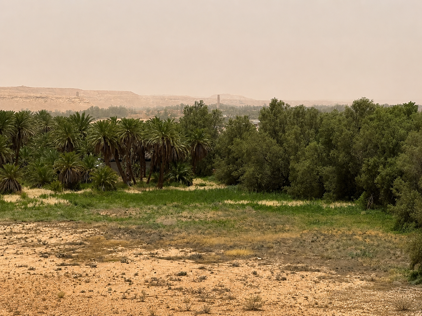 قصر العيسى وقليب المليحة