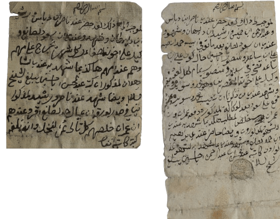 وثيقتان في الوصاية على عيال حمد الصانع وإدارة حقوقهم المالية في عودة سدير خلال أوائل القرن 13 الهجري