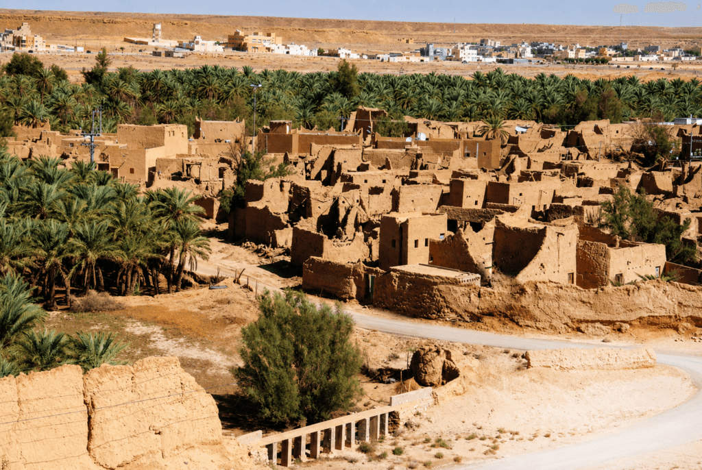 نخيل عودة سدير
